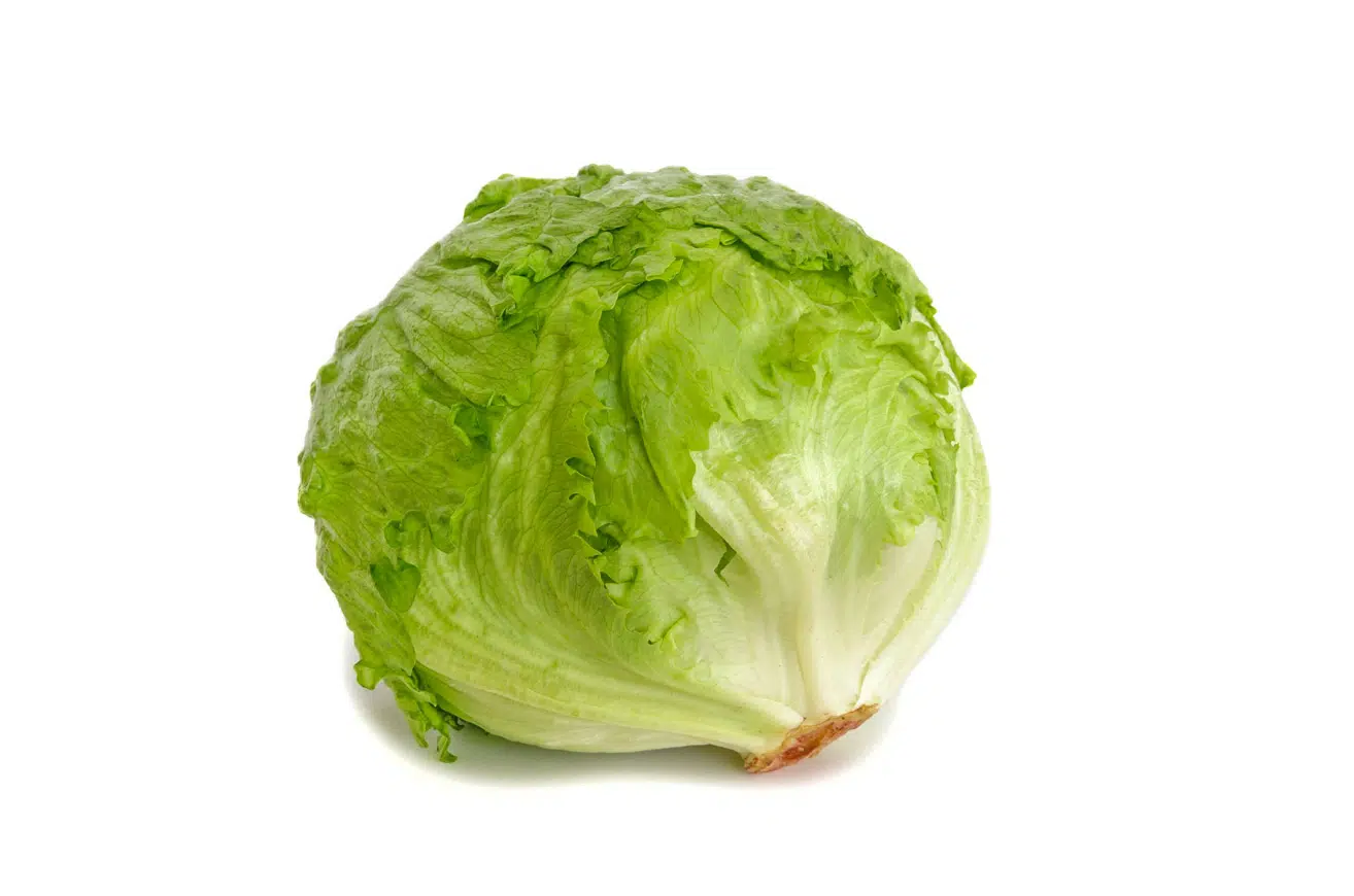 lechuga-iceberg-product